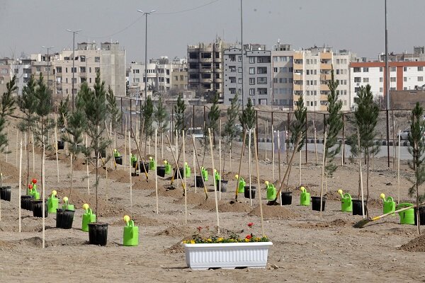 کاشت ۶۰۰ اصله درخت در شهر زاینده‌رود_5e64d7ff42c54.jpeg