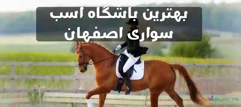 بهترین باشگاه اسب سواری اصفهان
